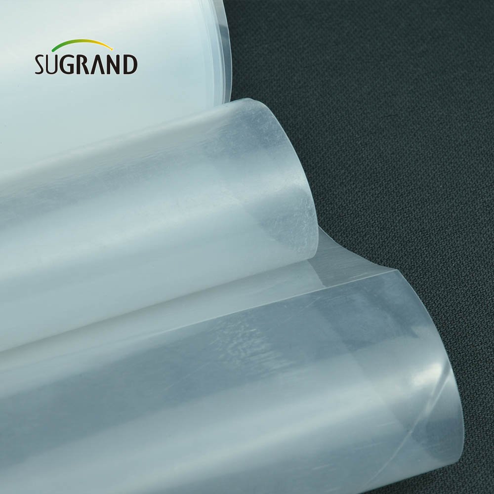 Factory direct price agriculture greenhouse film uv greenhouse film for Greenhouse