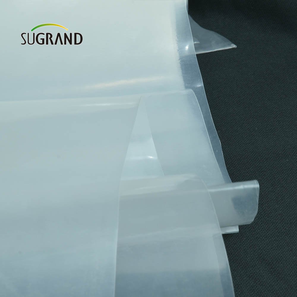 Factory direct price agriculture greenhouse film uv greenhouse film for Greenhouse
