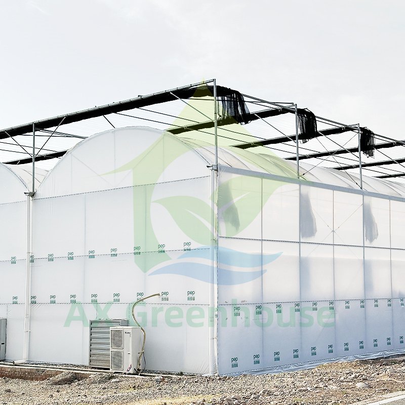Durable Tropical Shade Net Multi-span Agricultural Aluminum Structure Flower Tomato Drying House Poly Greenhouse Kit