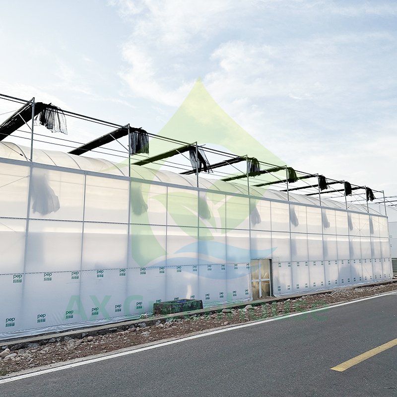 Durable Tropical Shade Net Multi-span Agricultural Aluminum Structure Flower Tomato Drying House Poly Greenhouse Kit