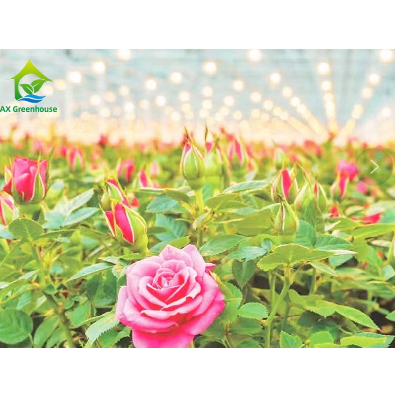 Durable Tropical Shade Net Multi-span Agricultural Aluminum Structure Flower Tomato Drying House Poly Greenhouse Kit