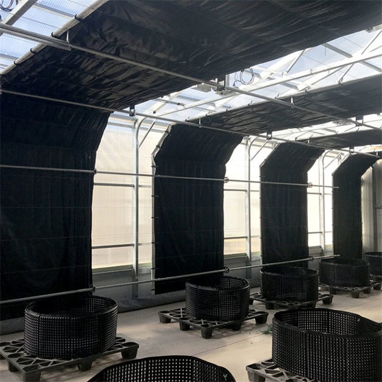 30 x 100 ft Hot sale standard auto single film with light deprivation equipped blackout light deprivation greenhouse for plant