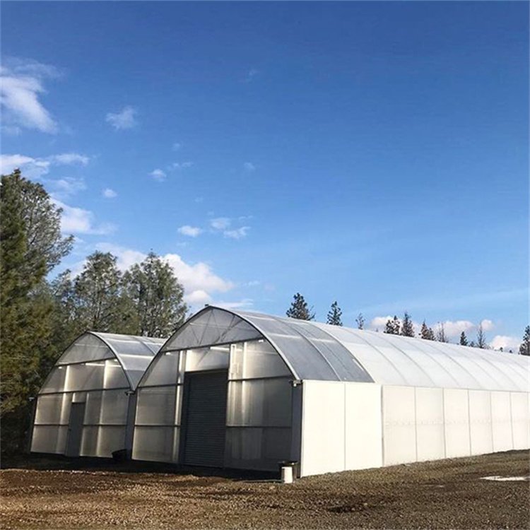 30 x 100 ft Hot sale standard auto single film with light deprivation equipped blackout light deprivation greenhouse for plant