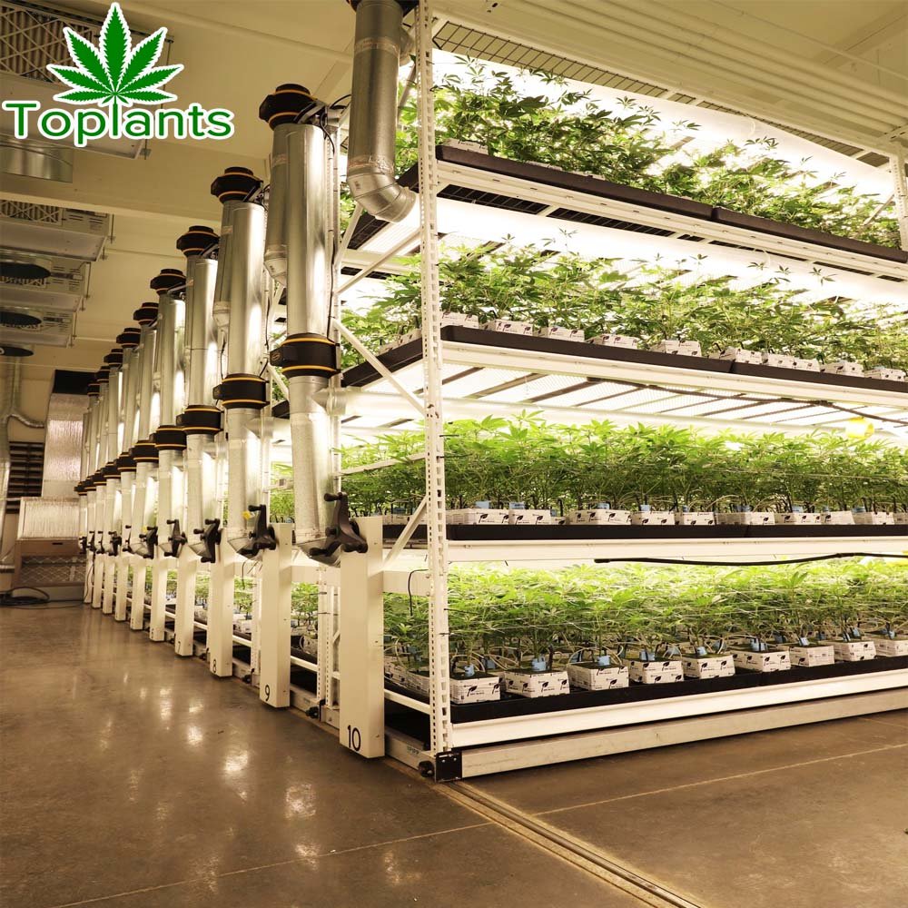 China wholesale Hydroponics Agricultural Greenhouse moving shelves growing racks