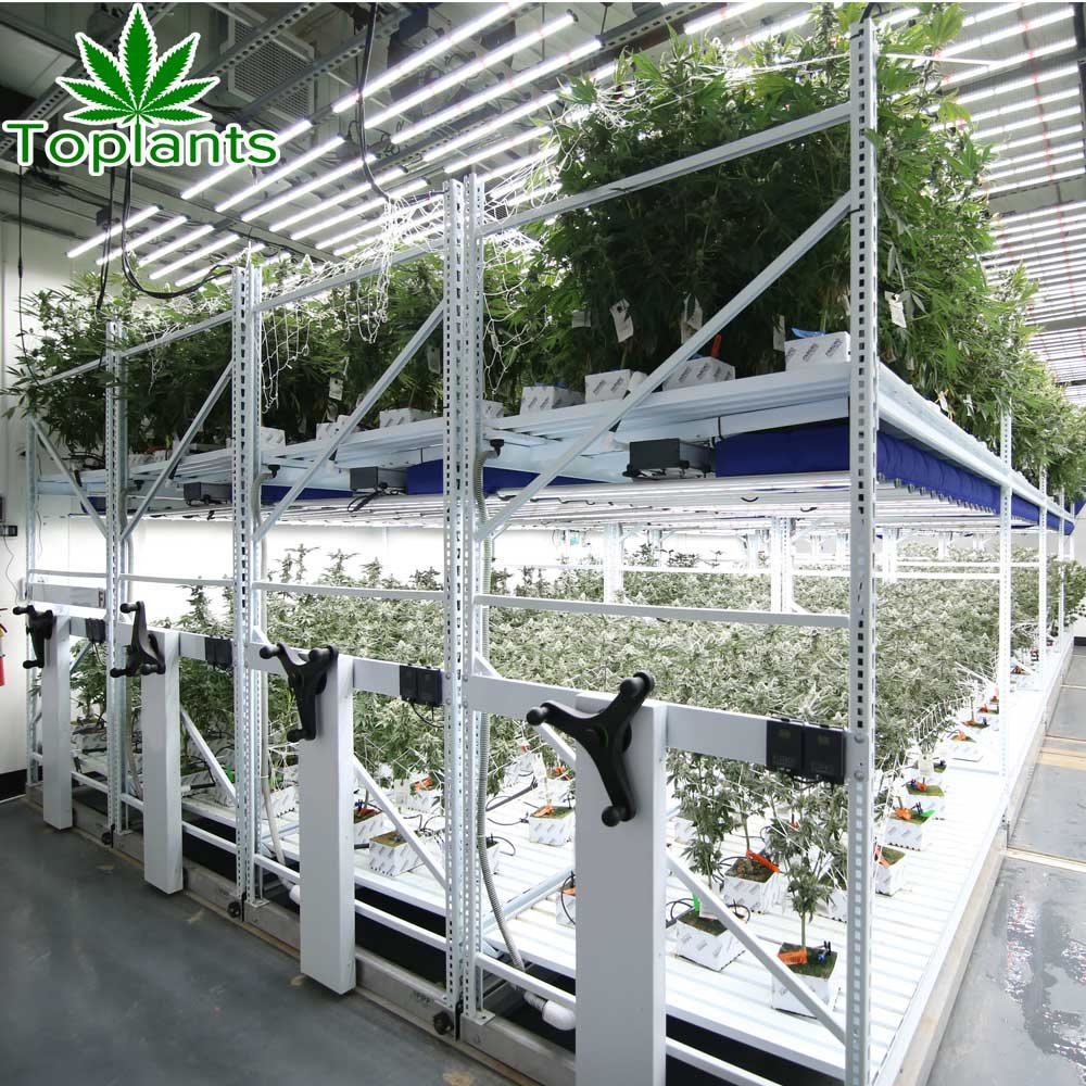 China wholesale Hydroponics Agricultural Greenhouse moving shelves growing racks