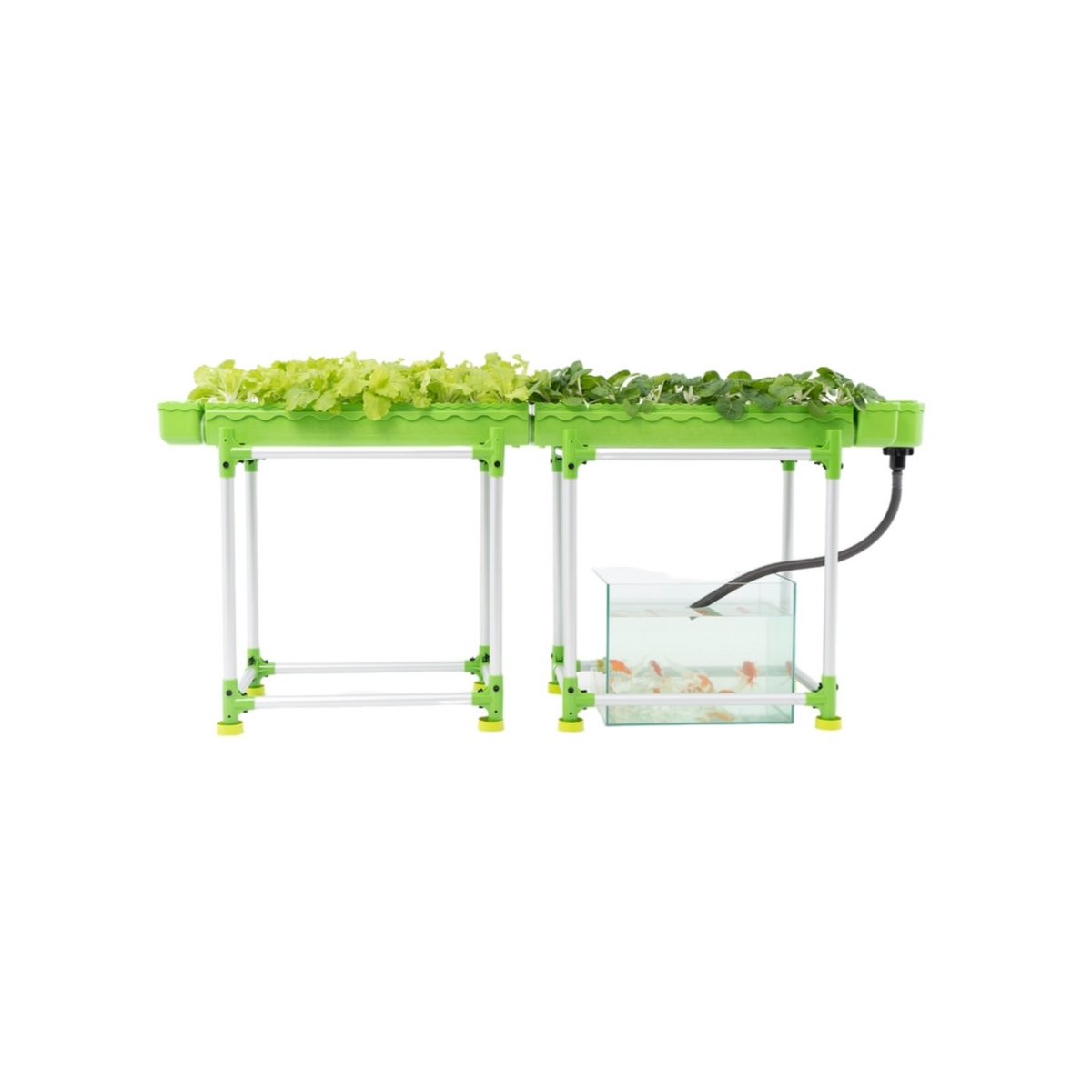 Irrigation And Hydroponics Agricultural Greenhouses Equipment