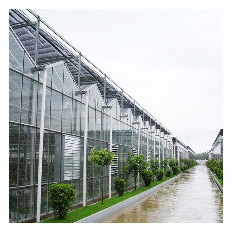 tomato planting Commercial polycarbonate Green House metal frame glass Greenhouse Agricultural Greenhouses For Sale