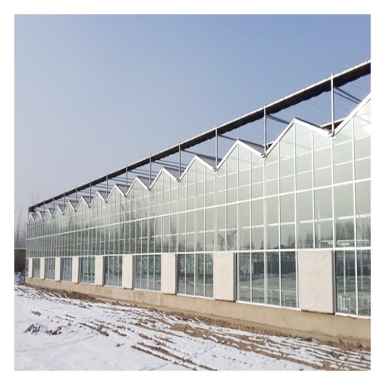 tomato planting Commercial polycarbonate Green House metal frame glass Greenhouse Agricultural Greenhouses For Sale