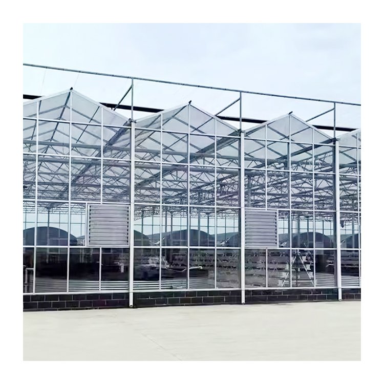 tomato planting Commercial polycarbonate Green House metal frame glass Greenhouse Agricultural Greenhouses For Sale
