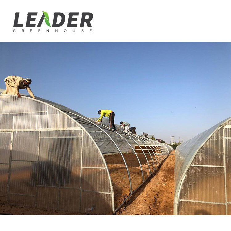 Single Span UV Plastic 200 Microns Poly Covered Agricultural Commercial Chinese Style Serre Agricole Agricultural Greenhouse