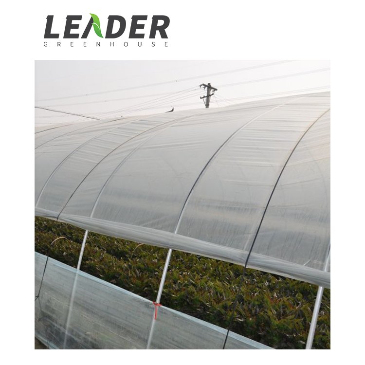 Single Span UV Plastic 200 Microns Poly Covered Agricultural Commercial Chinese Style Serre Agricole Agricultural Greenhouse