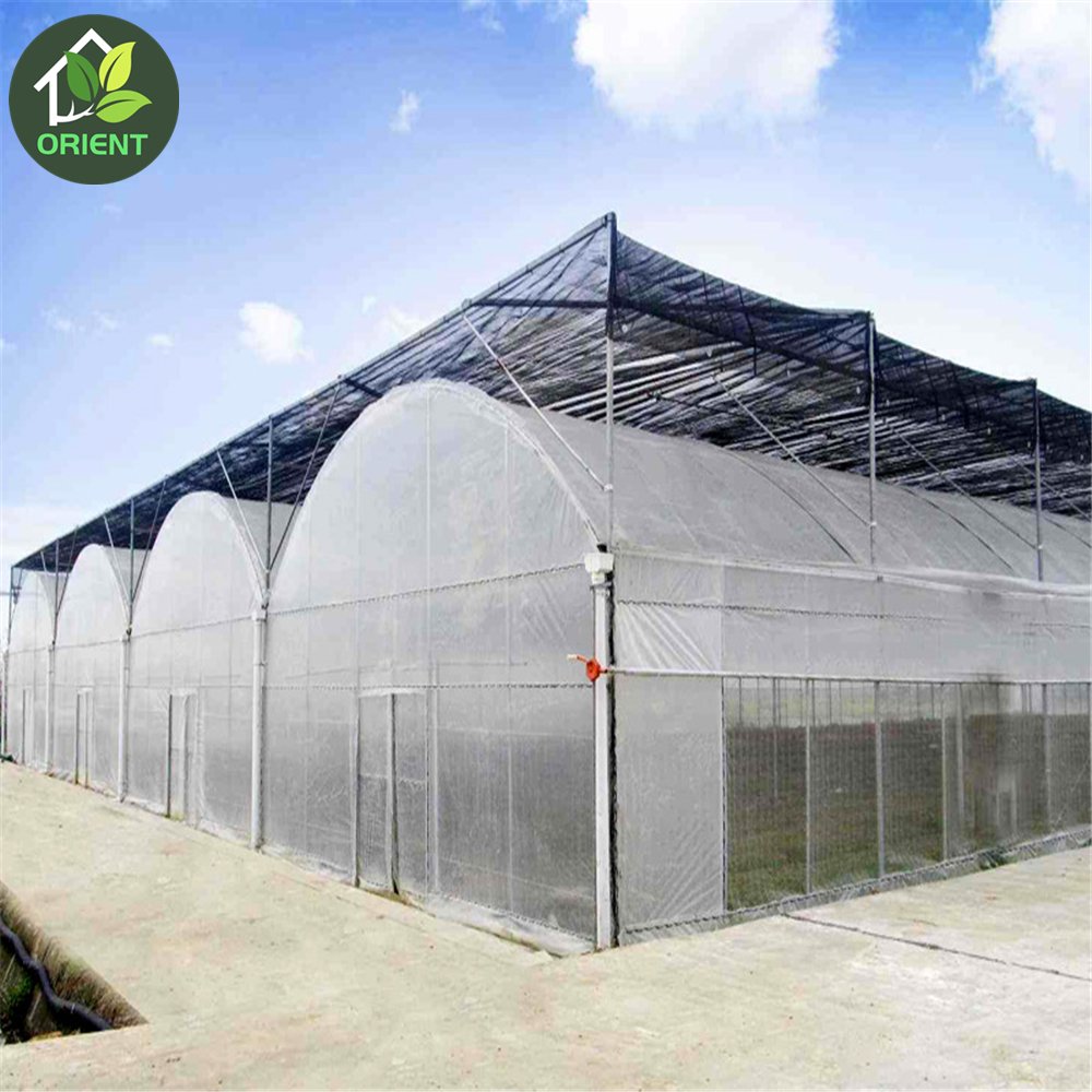 High quality poly house agriculture greenhouses structure with circulation fan