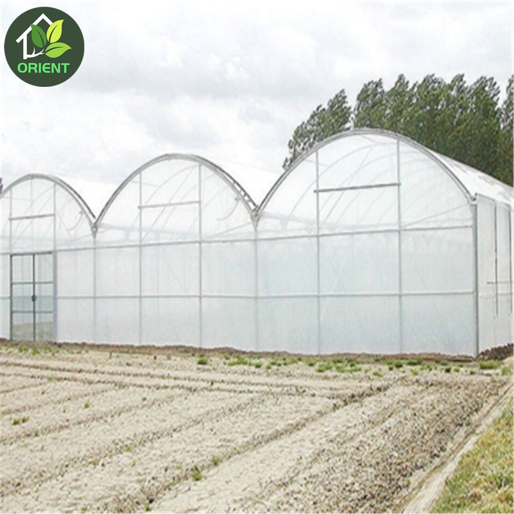 High quality poly house agriculture greenhouses structure with circulation fan