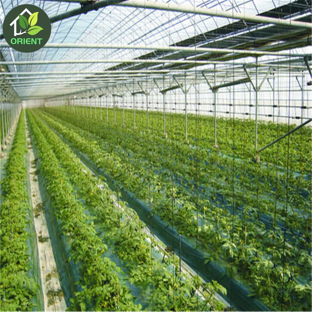 High quality poly house agriculture greenhouses structure with circulation fan