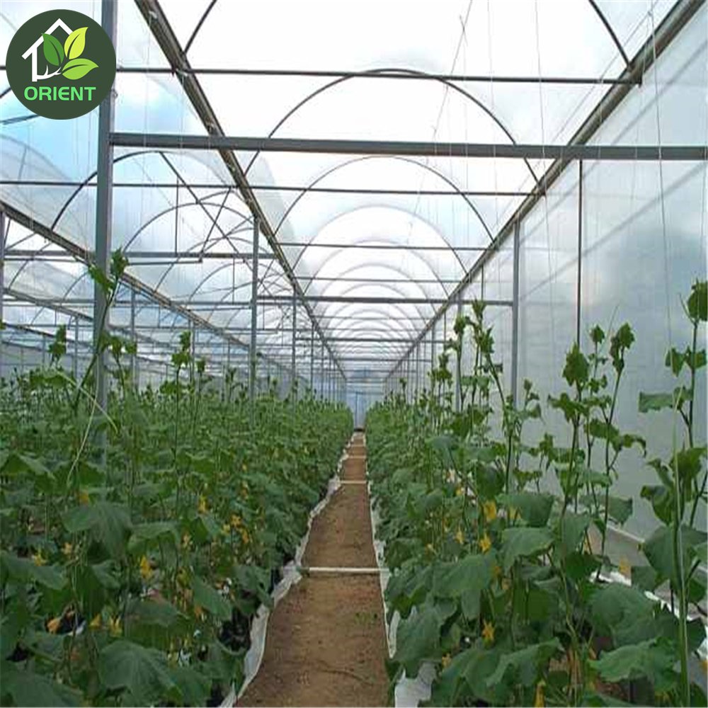 High quality poly house agriculture greenhouses structure with circulation fan