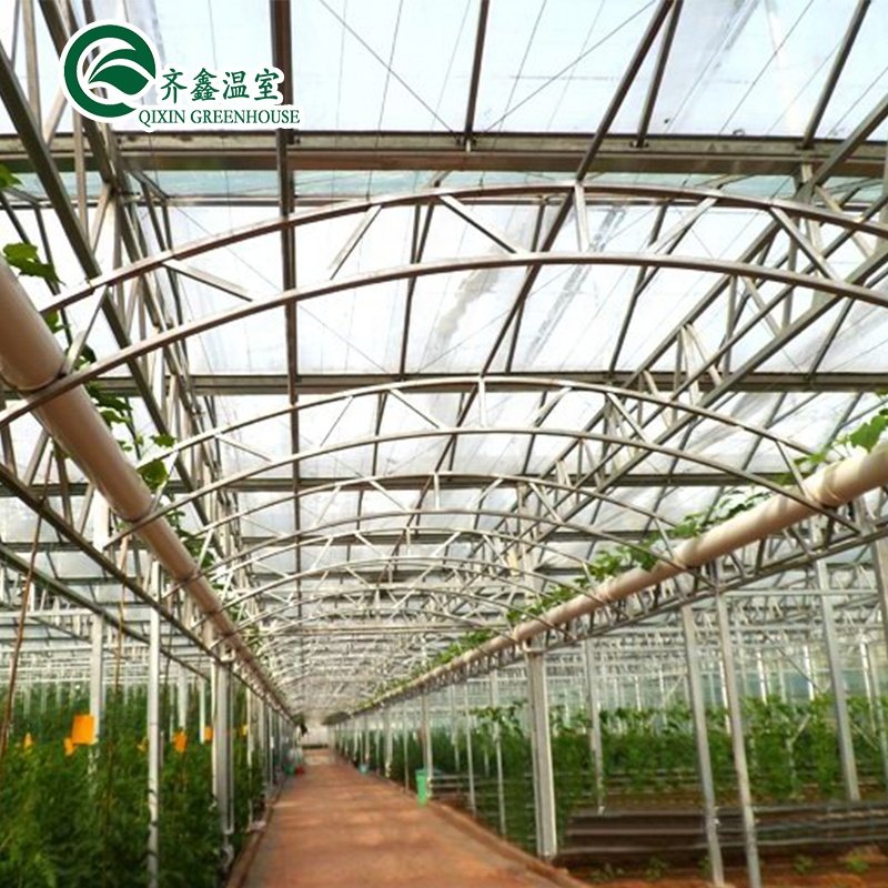 South Korea agricultural Greenhouse with grow bags