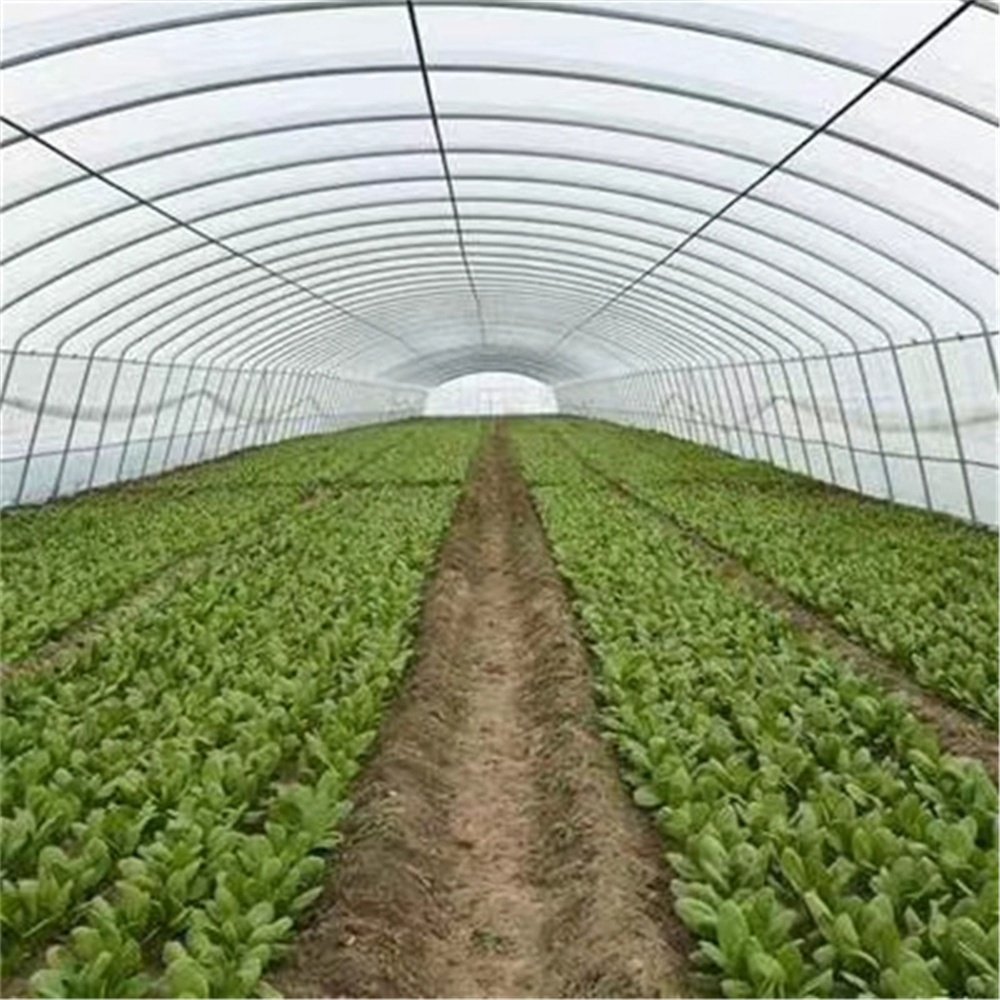 Special Offer Ecological Agriculture Greenhouse Tunnel