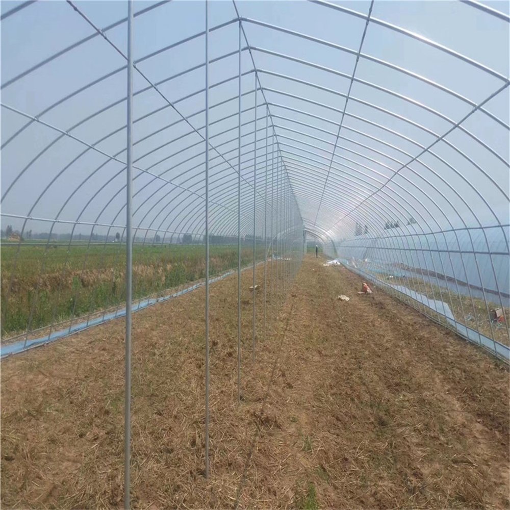 Special Offer Ecological Agriculture Greenhouse Tunnel