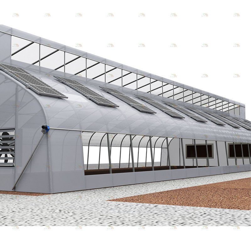 Tropical area agricultural farming hydroponic growing tunnel top vent sawtooth greenhouse for vegetables