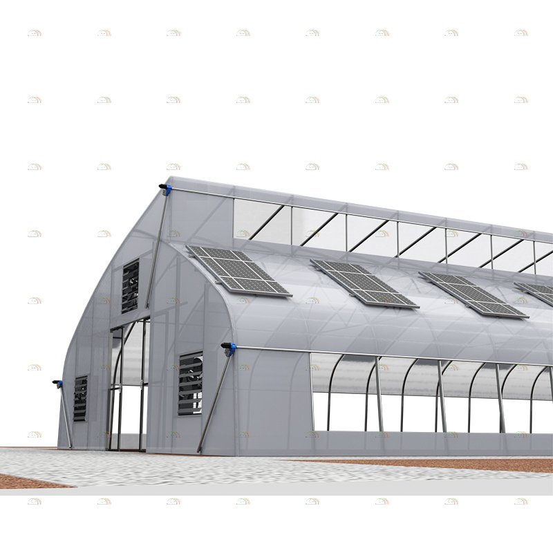 Tropical area agricultural farming hydroponic growing tunnel top vent sawtooth greenhouse for vegetables