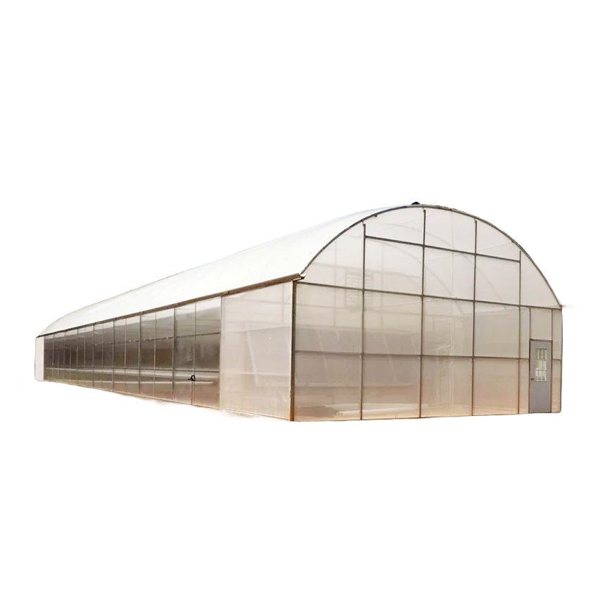 Large Single-Span Tunnel Greenhouse for Agriculture PO Film Growing System with Motor Ventilation