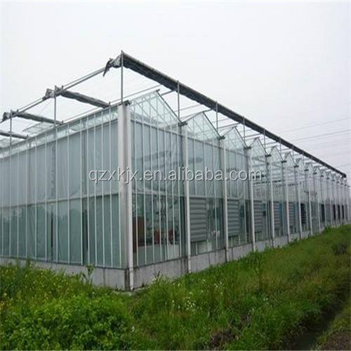 Multi-span greenhouse glass greenhouse agricultural greenhouse on hot sale