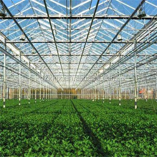 Multi-span greenhouse glass greenhouse agricultural greenhouse on hot sale