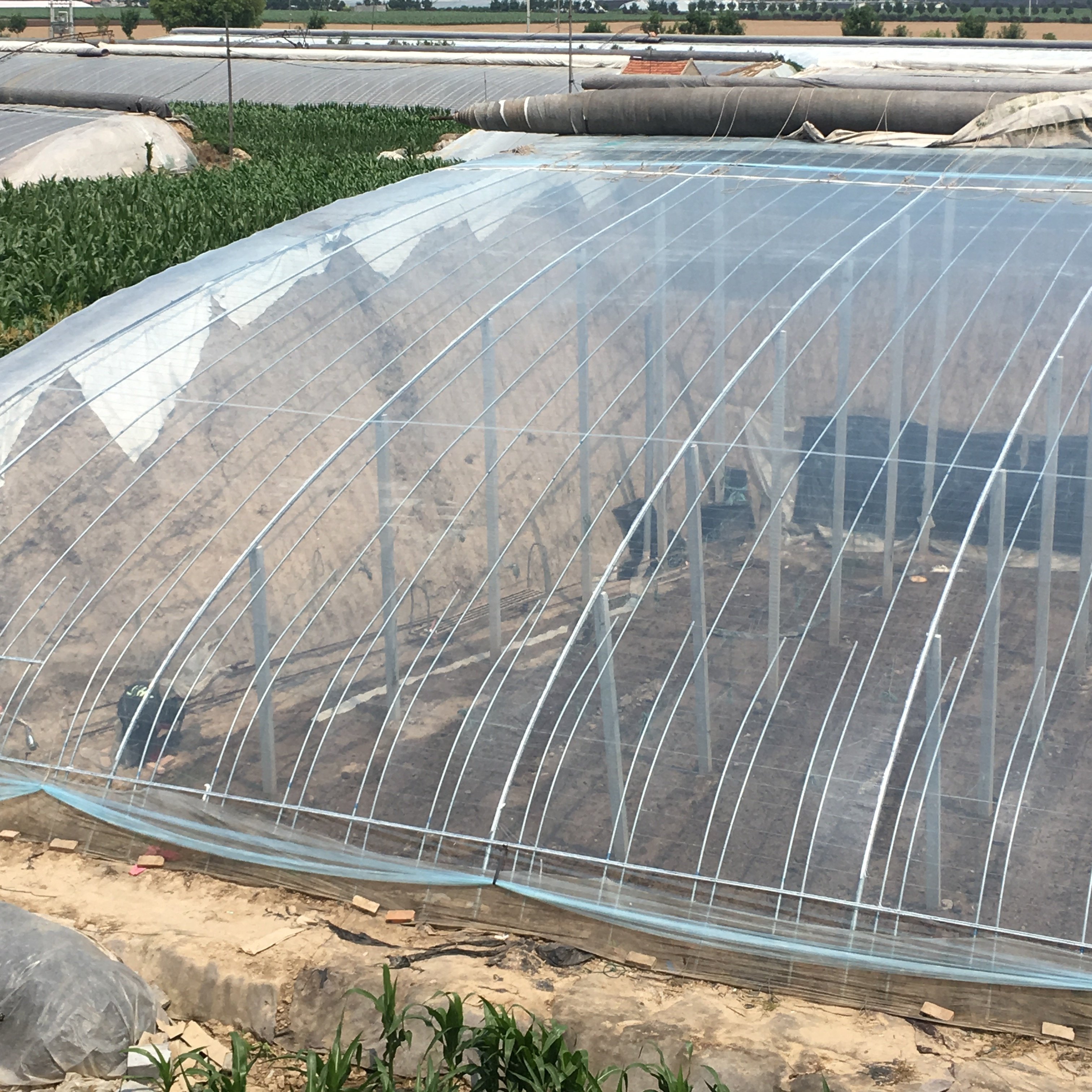 Factory Wholesale High Quality UV Stabilized White Transparent PE Garden Plastic Greenhouse Protective Film