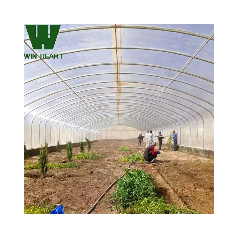 single-Span Agricultural Polycarbonate/PC Sheet Greenhouse