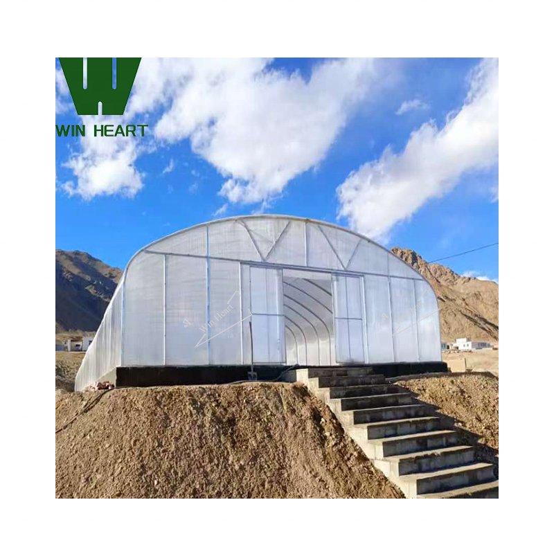 single-Span Agricultural Polycarbonate/PC Sheet Greenhouse