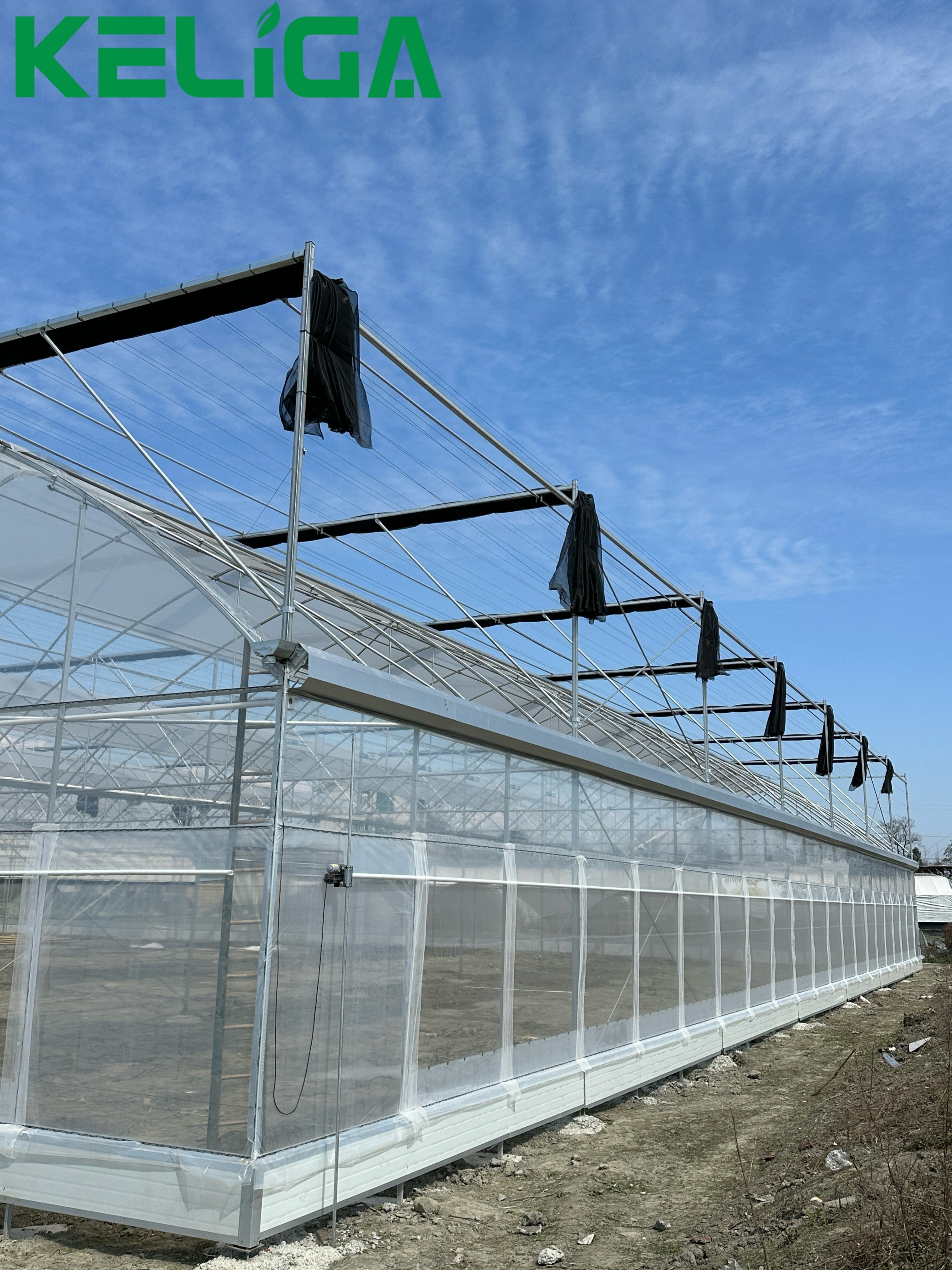 Indoor Agricultural Greenhouse Plastic Film Greenhouse for tomatoes