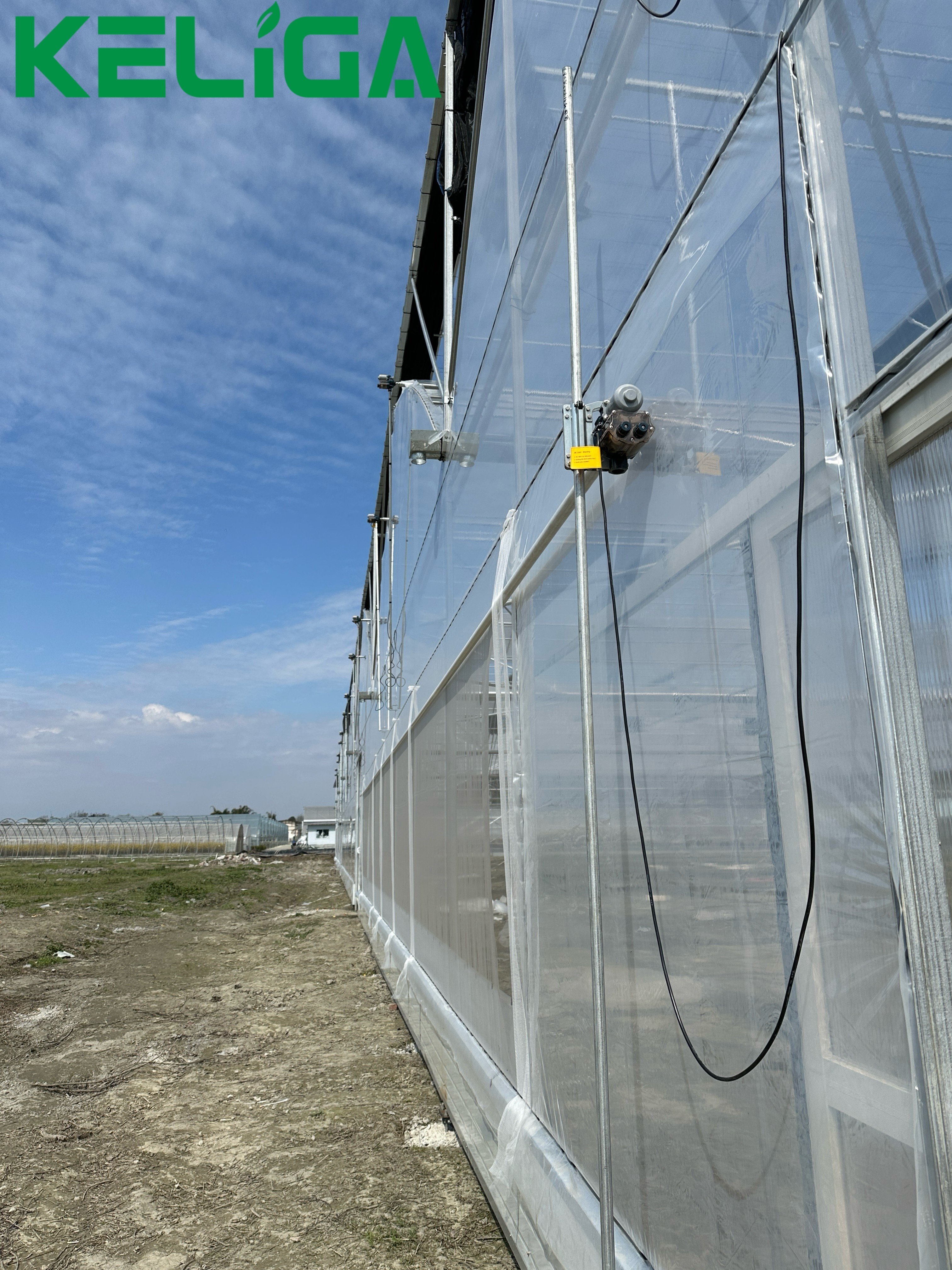 Indoor Agricultural Greenhouse Plastic Film Greenhouse for tomatoes