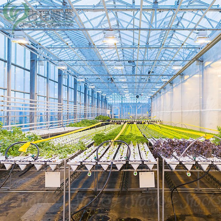 Glass Agriculture Green House Supplier Multi Span Commercial Venlo Type Glass Greenhouses Hot Sale