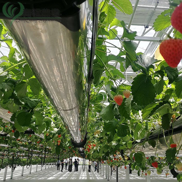 Glass Agriculture Green House Supplier Multi Span Commercial Venlo Type Glass Greenhouses Hot Sale