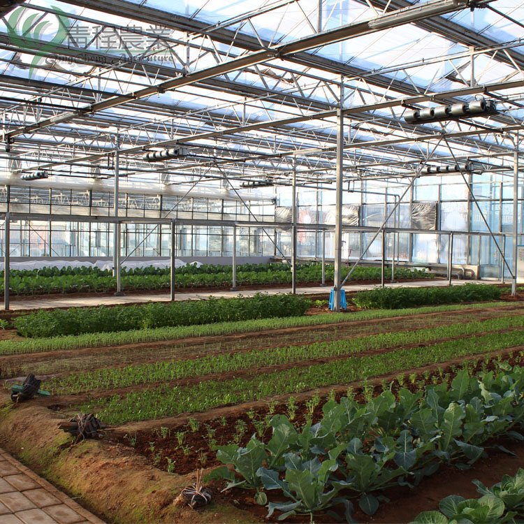Glass Agriculture Green House Supplier Multi Span Commercial Venlo Type Glass Greenhouses Hot Sale