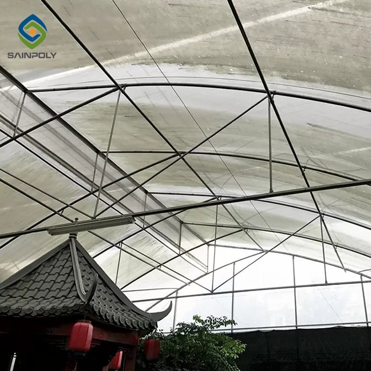 Sainpoly Low cost agriculture greenhouse with tomato Polycarbonate greenhouse for sale