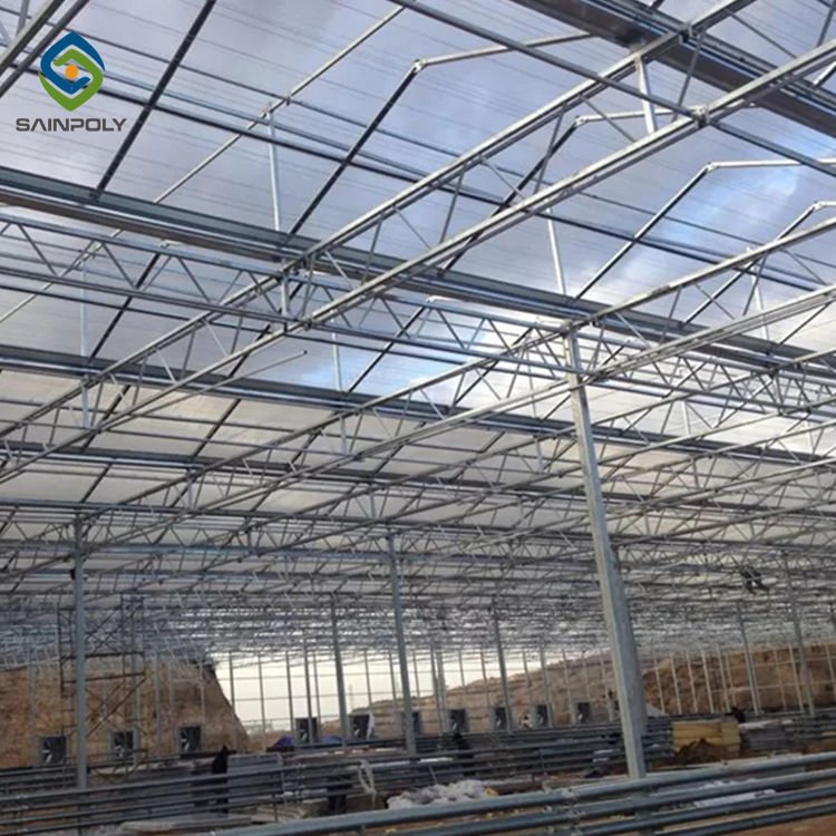 Sainpoly Low cost agriculture greenhouse with tomato Polycarbonate greenhouse for sale