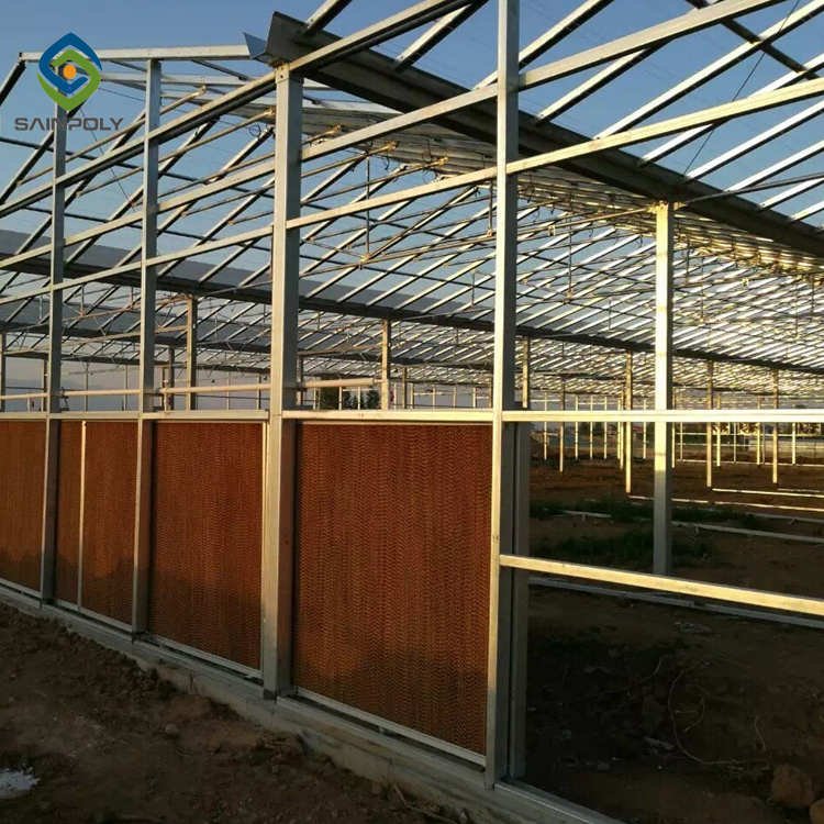 Sainpoly Low cost agriculture greenhouse with tomato Polycarbonate greenhouse for sale