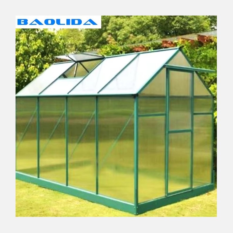 Low Cost Small Metal Steel Green House Frame Polycarbonate Commercial Garden Greenhouses