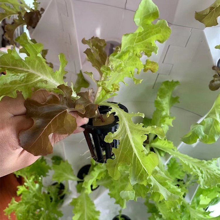 One one New agricultural greenhouse rotary aeroponic tower garden vertical hydroponic system for home or farm