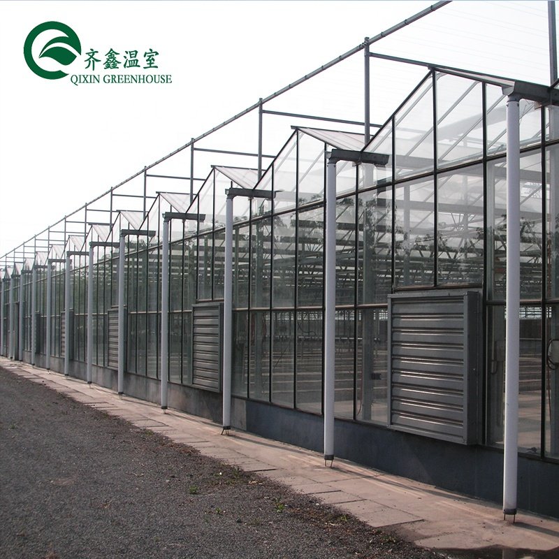 agricultural glass greenhouse with pvc hydroponic gutter system