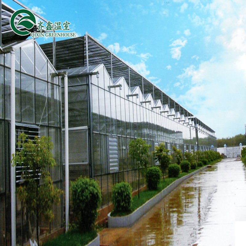 agricultural glass greenhouse with pvc hydroponic gutter system