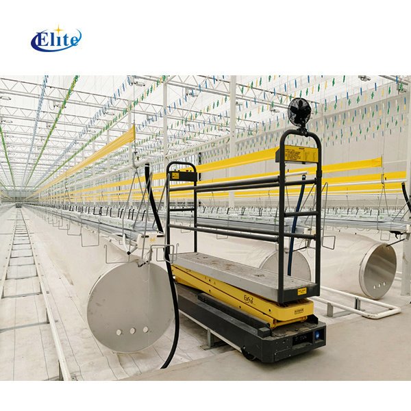 Agriculture tomato cucumber greenhouse automatic harvest equipment pipe rail trolley scissor lift platform leaf picking cart