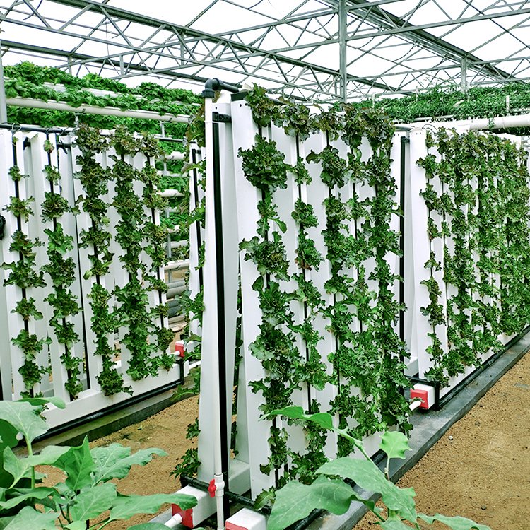 New agriculture hydroponic growing vertical system 288 holes hydroponic equipment vertical garden with LED light in greenhouse