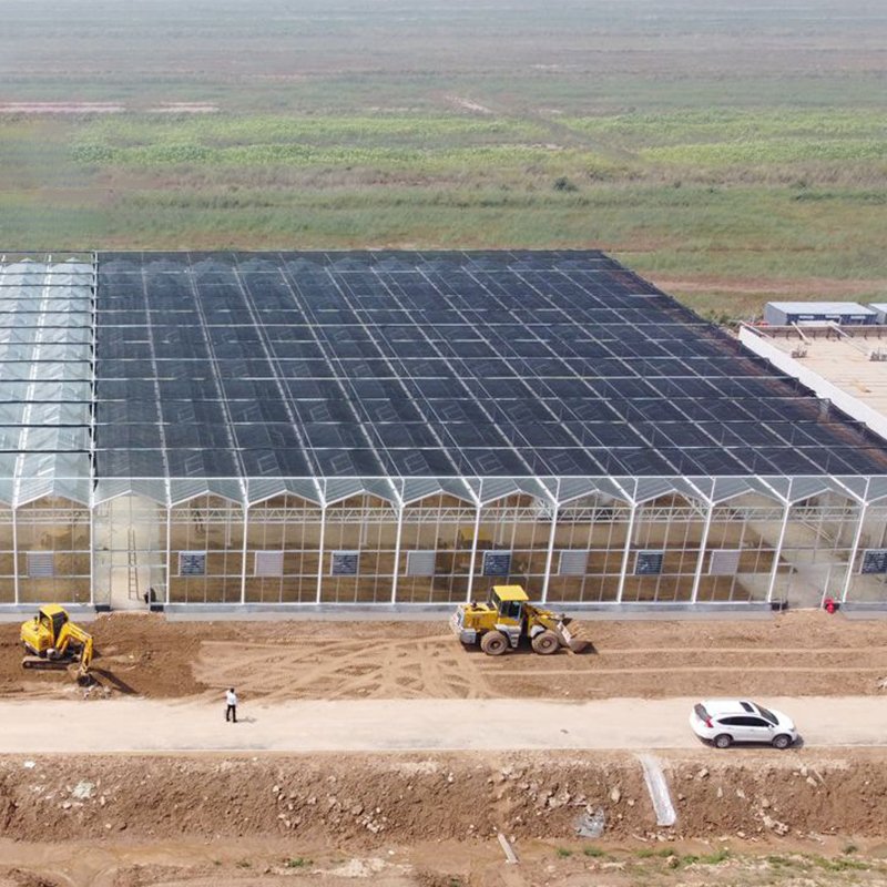 tempered glass greenhouse for agriculture green house supplier glass flower Muti-span greenhouses