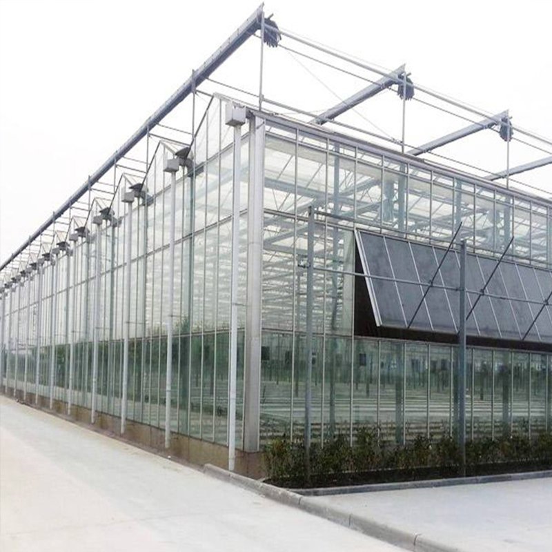 tempered glass greenhouse for agriculture green house supplier glass flower Muti-span greenhouses