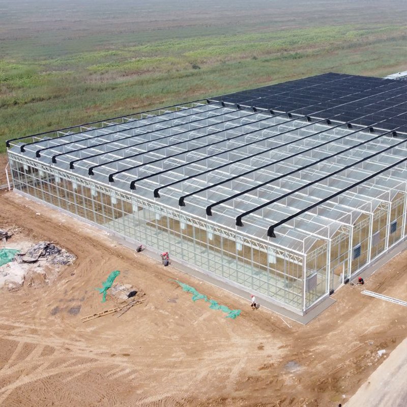tempered glass greenhouse for agriculture green house supplier glass flower Muti-span greenhouses