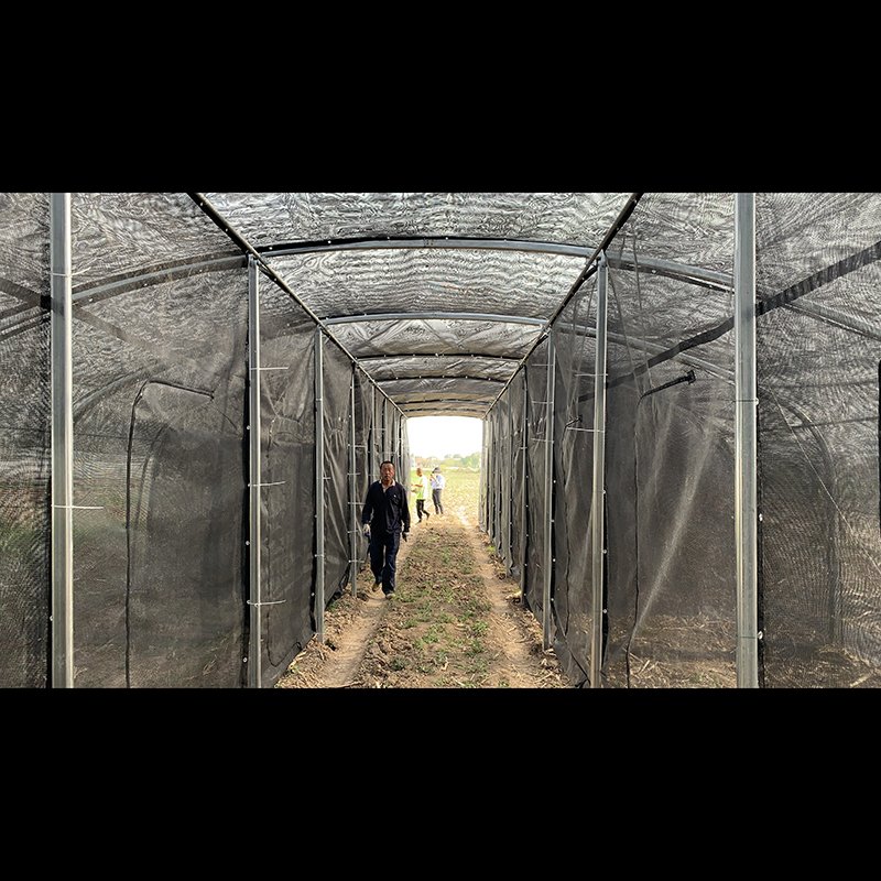 Agricultural Greenhouse Insect-Proof Mesh Net Bag Widely Used Insect Net for Pest Control