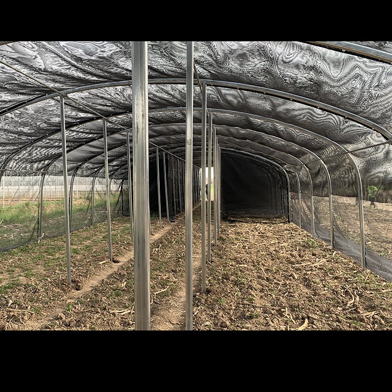 Agricultural Greenhouse Insect-Proof Mesh Net Bag Widely Used Insect Net for Pest Control