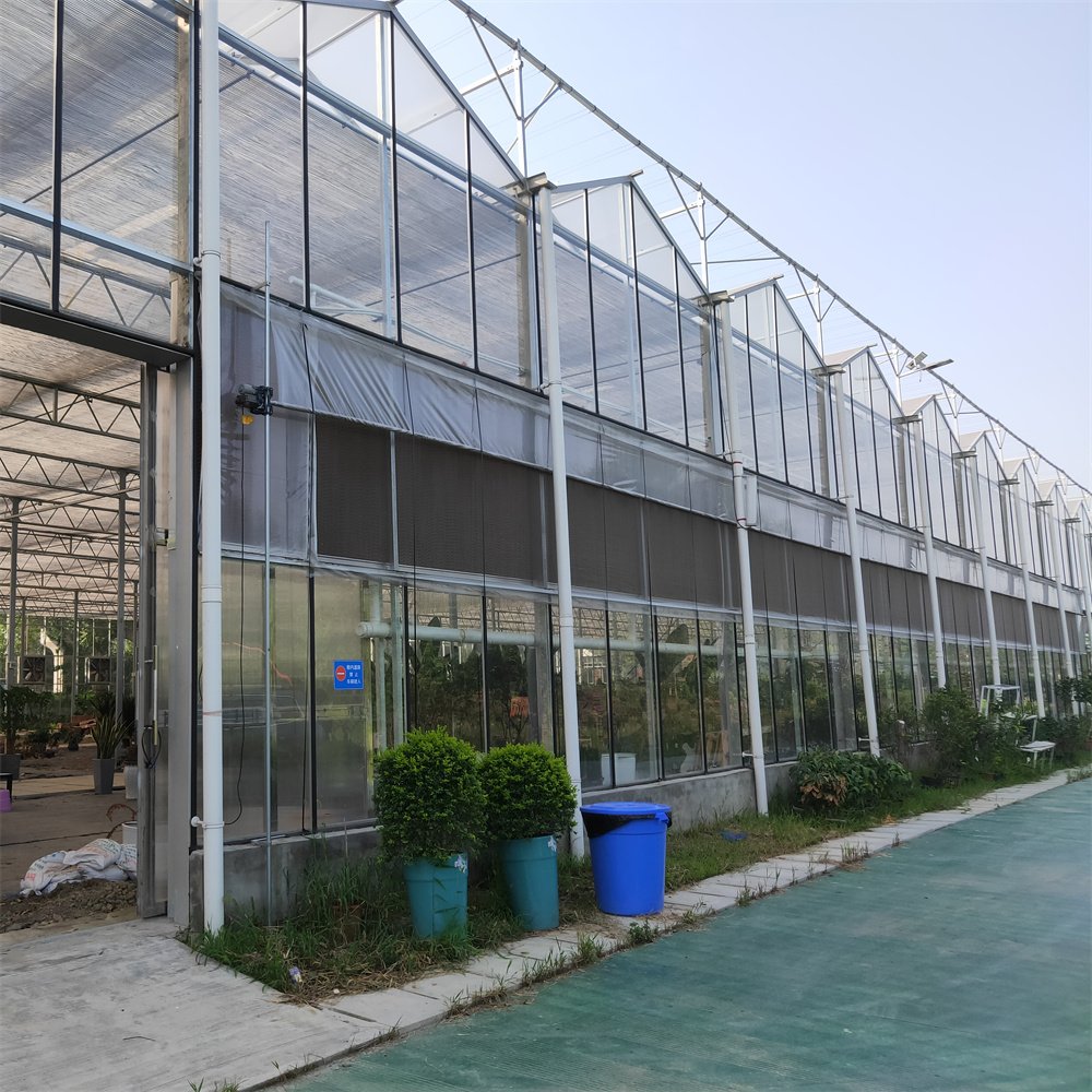 Galvanized Steel Frame Agricultural Greenhouse Vertical Farming Multi Span Venlo Glass Greenhouse For Sale